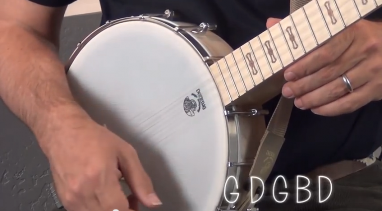 article: Deering Banjos: 5-String Banjo Basics