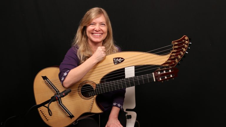 article: Mike Doolin 20-String Harp Guitar