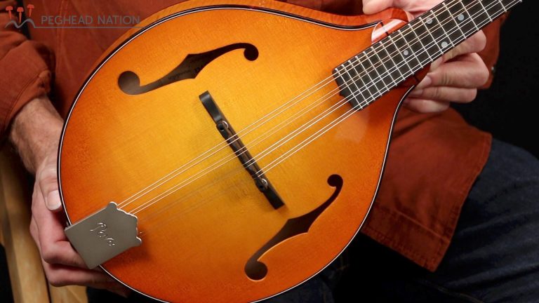 article: Pava A5 Pro Mandolin