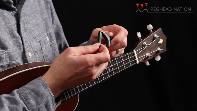 article: D’Addario NS Banjo/Mandolin Capo and NS Ukulele Pro Capo