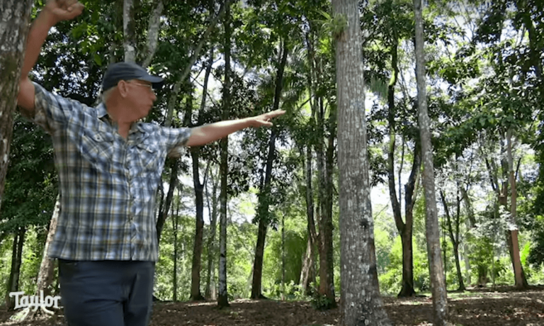 article: Bob Taylor’s World Forestry Tour | Guatemala