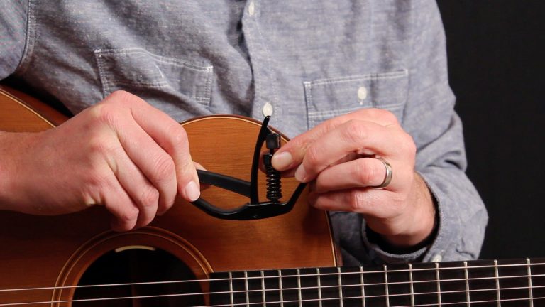 article: D'Addario NS Artist Capo