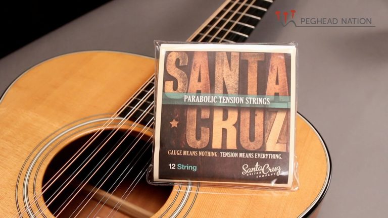 article: Santa Cruz Parabolic 12-String Set