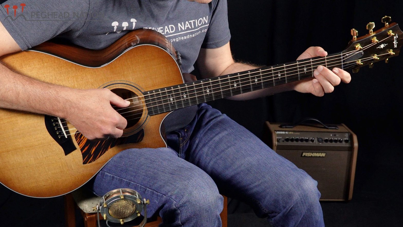 Taylor 312ce LTD 50th Anniversary review and video demonstration