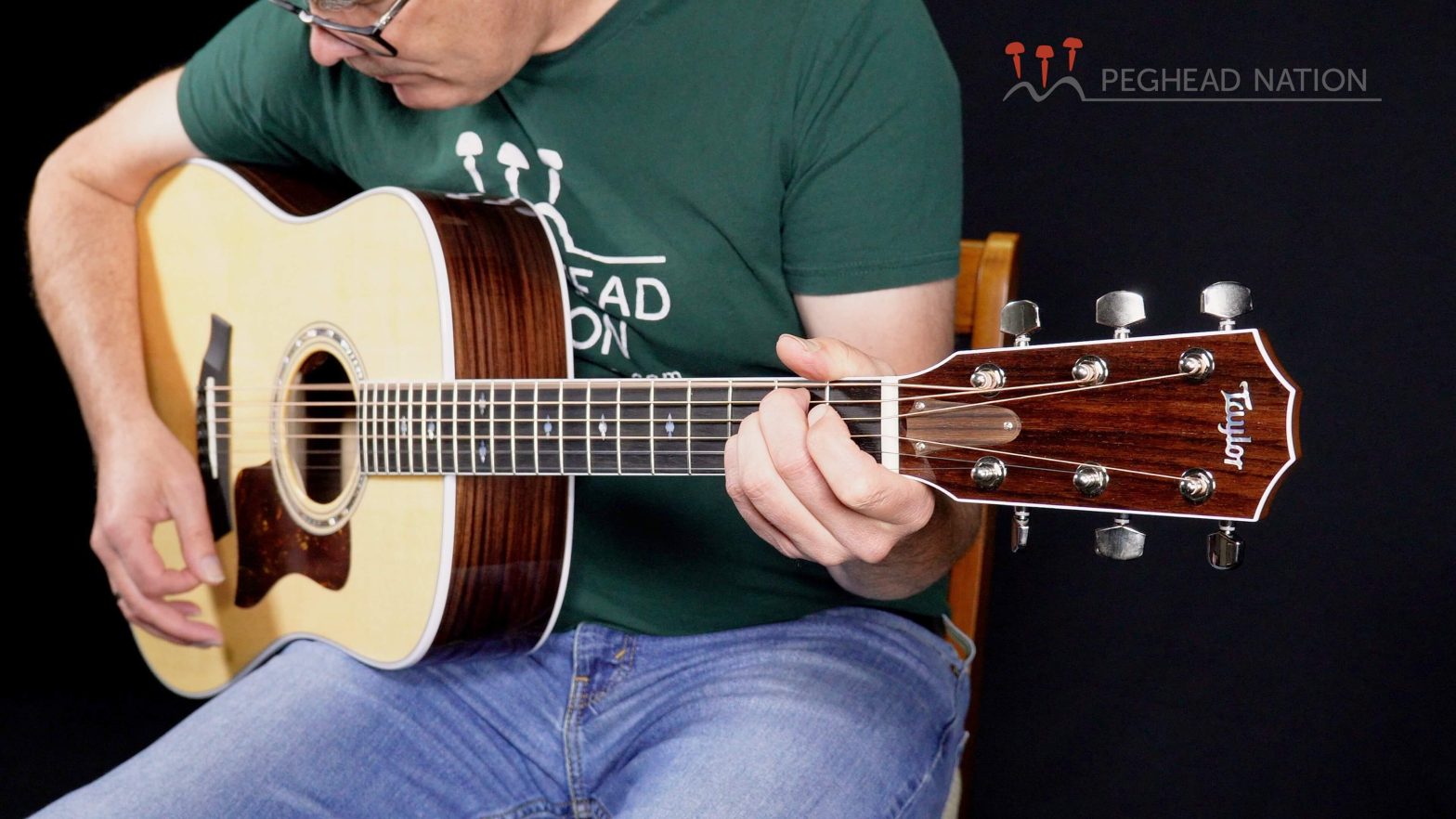 Taylor Legacy Collection 810e review and video demonstration